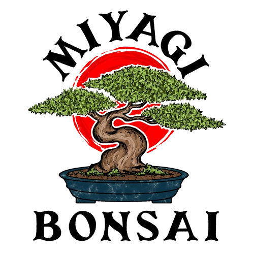 Miyagi Bonsai